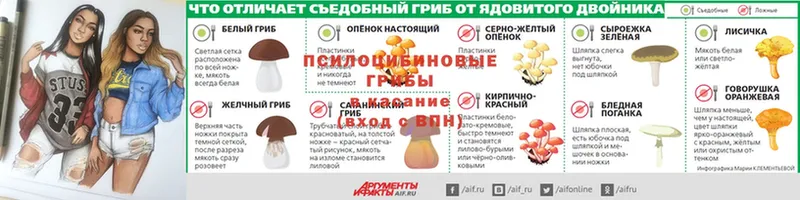 Псилоцибиновые грибы мицелий  купить  цена  Минусинск 